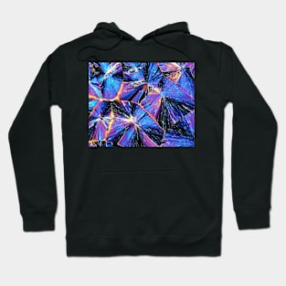 Tartaric acid crystals, light micrograph (C009/5982) Hoodie